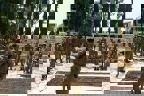 D7f596c1 69D3 499B Ab0f 4636E09876ff