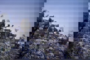 1Ea6b447 A83d 4563 97C1 3224B302debc