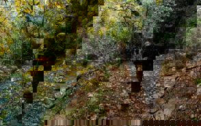F1d44127 Aa1a 4981 Ad43 62F1748c9718