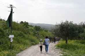 DSC 4202