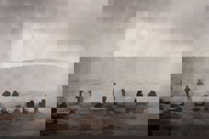 C490352d 5384 411A Adcd 1675141145Fc