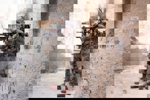 29A7afe9 22F8 417A A8ec D65f717c94fe