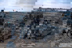 099E5d9a Ae35 483B Ab04 14E41cbc351a