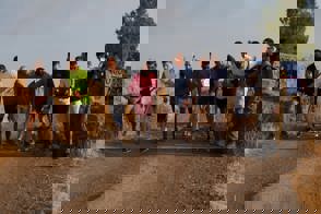Hativa7 1