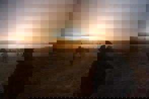 Whatsapp Image 2024 09 18 At 13.11.38