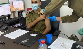 מגד ברדלס סאל אוהד מויאל