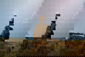 8655E576 3Dae 4D39 A1f4 Be527db4fd6f