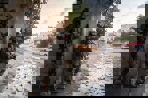 69D0d502 Caa3 4F9b A6e0 B1369cefd6d4