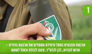 עובדות נחל