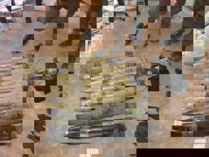 Whatsapp Image 2023 12 21 At 21.31.31