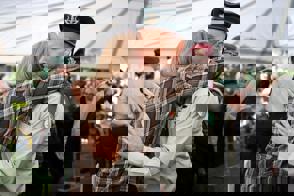 Bda09c2c 8Dfd 4D2a A1fc 899D23456ef1