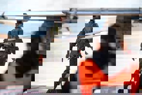 62033394 F3e4 40F2 B51c 5A99896f248a (1)