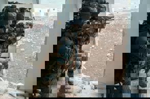 Whatsapp Image 2023 06 14 At 17.21.34 (1)