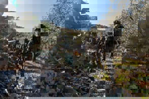 Fc76dc91 75C6 404A Bbcf 0E353d392e31