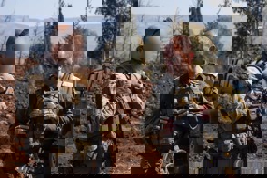 5C7b2221 1B9f 455C Baa5 9Cf7295e53f5