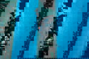 004E5c60 9884 4A83 8A6d 2B29b68d17d2