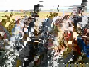 Da986896 51B1 4314 Aaff 557Ebed728a7