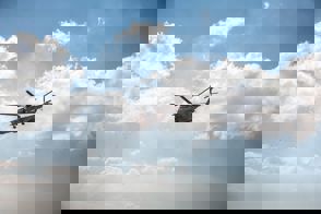 87Be1c8a Afbd 4F40 A6b8 C916a83c928c