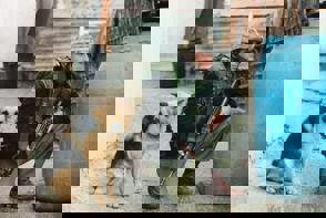 Whatsapp Image 2022 03 03 At 14.16.11 (2)