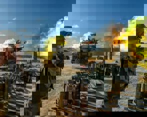 Ecf5b0b7 658C 48A2 8657 143F0985208e